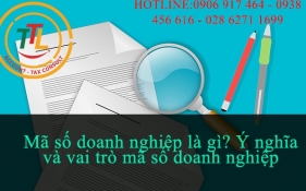 Mã số doanh nghiệp có ý nghĩa gì đối với doanh nghiệp